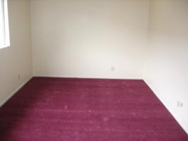 Two Bedroom Apartment on Exeter Street 